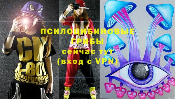 бошки Абдулино