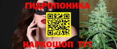молекула духа Гай