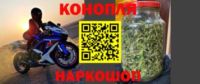 винт Гатчина