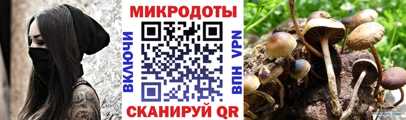 Галлюциногенные грибы MAGIC MUSHROOMS Избербаш